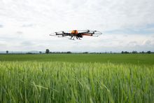 Einsatz der LH-Drohne bei der Analyse landwirtschaftlicher Flchen © RWA