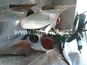 Regent 35CX Regent 35CX