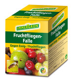 Immergru�?n Fruchtfliegenfalle
