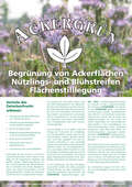 Ackergruenfolder 2010 &nbsp;