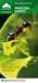Insektenschutz