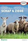 Prospekt Schafe &nbsp;