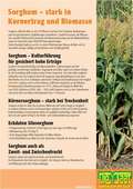Sorghum Flugblatt-Deckblatt &nbsp;