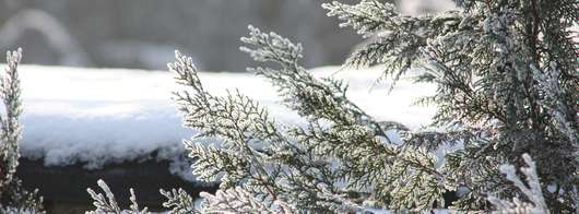 Garten im Winter © RWA Garten im Winter © RWA