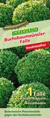 Pflanzenschutzmittel gegen Buchsbaumz�nsler � RWA