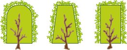 Heckenformen � RWA
