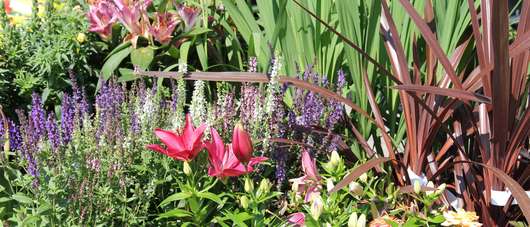 Blumen � RWA