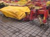 Ford SCHEIBENM�HWERK 245
