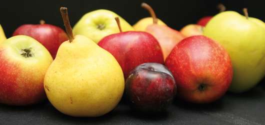 Obst � RWA