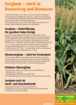 Fachblatt f�r Sorghum 2013
