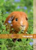 Freiraum &nbsp;