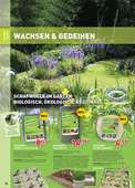 Wachsen & Gedeihen &nbsp;