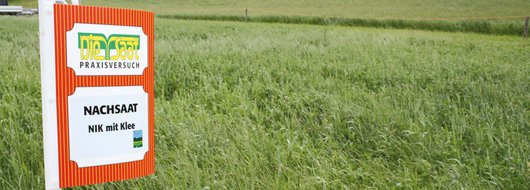 Feld Praxisversuch � RWA