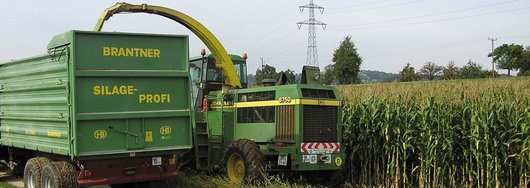 Maisfeldarbeiten � RWA