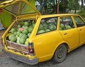 Wassermelone Auto