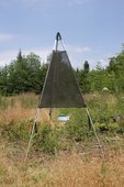 Trinet für den Schutz vor den Borkenkäfern © Graf Trinet für den Schutz vor den Borkenkäfern © Graf