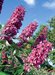 APR_W9219636_K1122824_A_V00