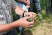 [1368704601310369_3.jpg]