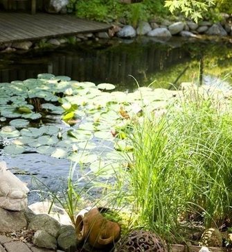 Mondkalender pflanzen setzen Mondkalender pflanzen setzen