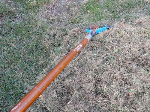 Rasen erneuern in 5 Schritten | Lagerhausgenossenschaft Landring Weiz