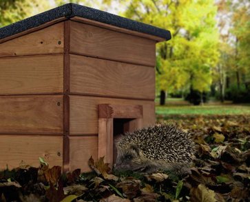 Im Garten Fur Die Igel Ein Winterquartier Schaffen Baywa