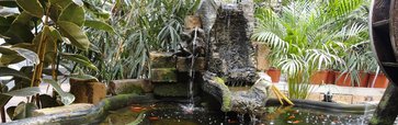 Wintergarten mit Pflanzen und Accessoires gestalten ...