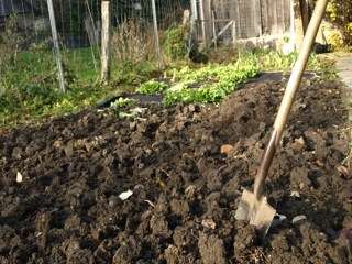 Garten Umstechen Im Herbst umstechen im herbst pro und contra immergr 252 n Garten Umstechen Im Herbst umstechen im herbst pro und contra immergr 252 n