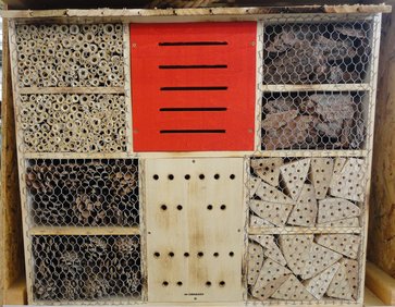 Nuetzlinge ch Nuetzlinge ch