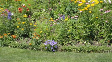 Mondkalender garten Mondkalender garten