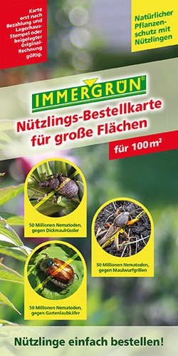 Nutzlingen Gegen Schadlinge Im Bio Garten Immergrun