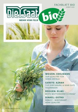 download mastering windows 2000 download mastering windows 2000