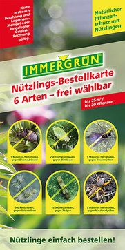 Mondkalender pflanzen setzen Mondkalender pflanzen setzen