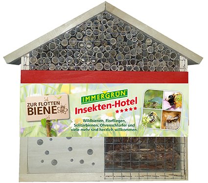 Nutzlingen Gegen Schadlinge Im Bio Garten Immergrun