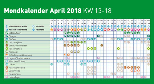 Special Coffee Machine Mondkalender 2017