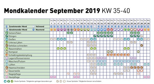 gesund abnehmen ebook