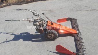 [3728-5991372-0.jpg]